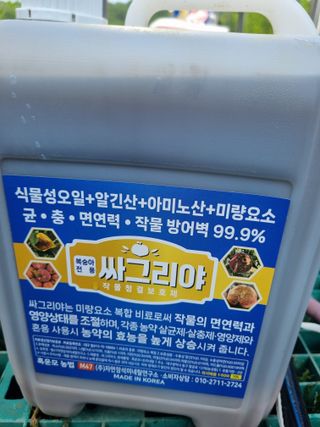 논산푸른팜님의 포도 · 영농일지 작성글 사진