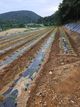 홈 갤러리 이미지