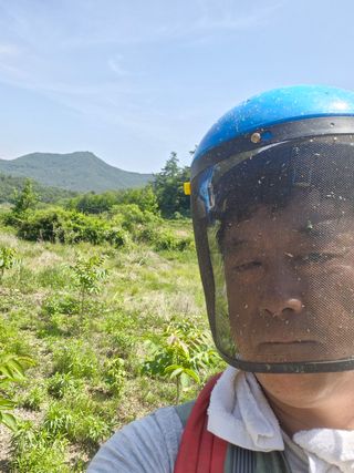엉뚱님의 기타작물 · 영농일지 작성글 사진