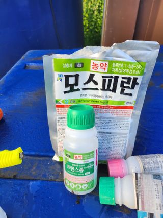 제2의인생출발님의 기타작물 · 영농일지 작성글 사진