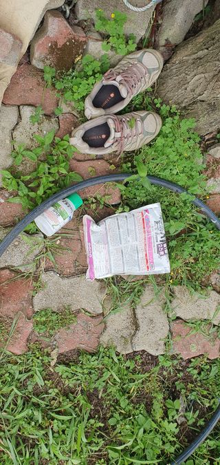 반성식님의 벼 · 영농일지 작성글 사진