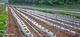 홈 갤러리 이미지