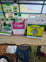 팜모닝 사과·영농일지 게시글 이미지