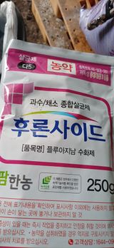 보물섬남자님의 작성글 사진