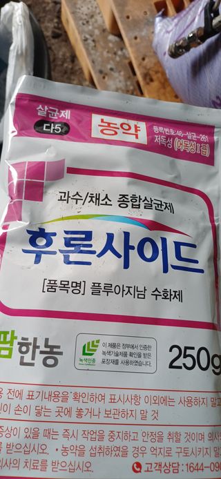 보물섬남자님의 귤 · 영농일지 작성글 사진