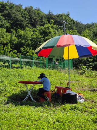 김기탁님의 기타작물 · 영농일지 작성글 사진