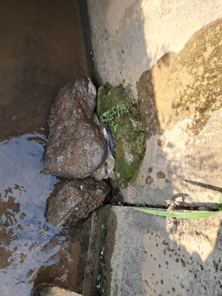 이복길님의 기타작물 · 영농일지 작성글 사진