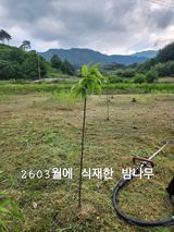 김정기 님의 작성글 사진