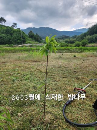 김정기 님의 기타작물 · 영농일지 작성글 사진