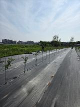 김종철님의 작성글 사진