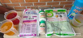 달맛햇복숭아농원님의 복숭아 · 영농일지 작성글 사진