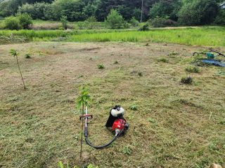 김정기 님의 기타작물 · 영농일지 작성글 사진