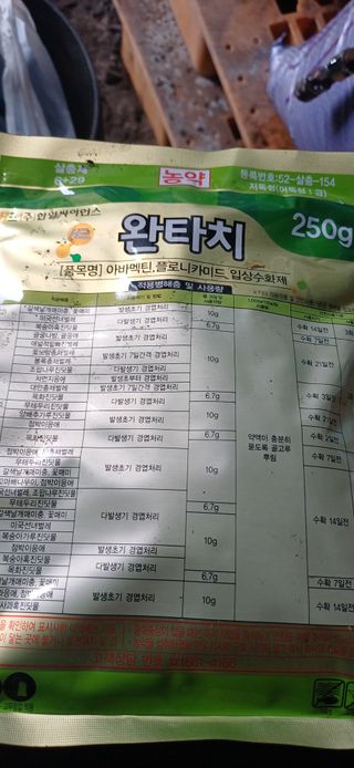 보물섬남자님의 귤 · 영농일지 작성글 사진