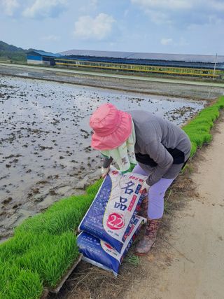 대파15425님의 기타작물 · 영농일지 작성글 사진