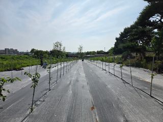 김종철님의 작성글 사진