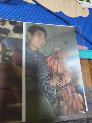 최병우님의 작성글 사진