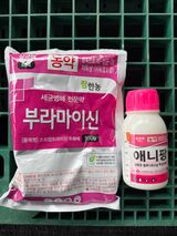 팜모닝 포도·영농일지 게시글 이미지
