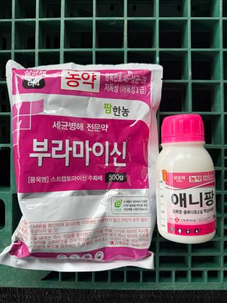 님의 포도 · 영농일지 작성글 사진