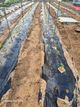 홈 갤러리 이미지