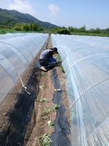 부자수박님의 작성글 사진
