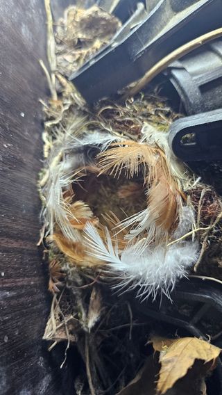 kkk님의 기타작물 · 영농일지 작성글 사진