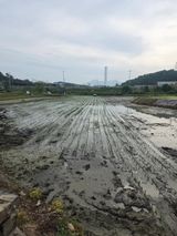 팜모닝 벼·영농일지 게시글 이미지