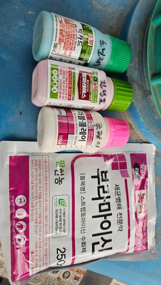 kkk님의 작성글 사진