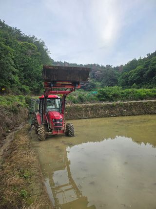 양배추21524님의 벼 · 영농일지 작성글 사진