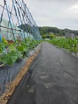 김윤회님의 작성글 사진