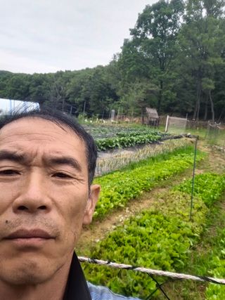 권상탁님의 기타작물 · 영농일지 작성글 사진