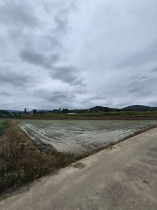 박형구님의 벼 · 영농일지 작성글 사진