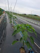 문현자 님의 작성글 사진