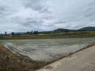 박형구님의 벼 · 영농일지 작성글 사진