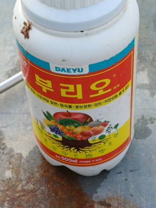 이철우님의 참깨 · 영농일지 작성글 사진