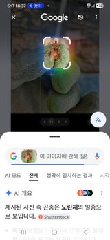 안정옥님의 작성글 사진