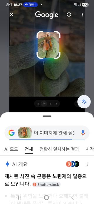 안정옥님의 포도 · 영농일지 작성글 사진