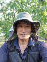 팜모닝 고추·영농일지 게시글 이미지