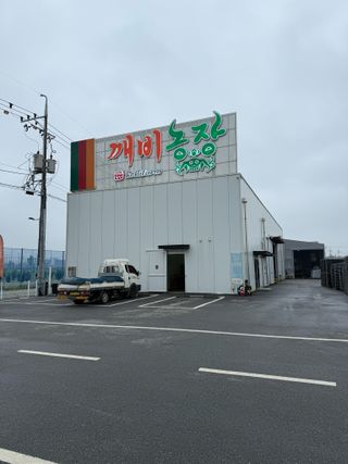 베리의정원님의 블루베리 · 영농일지 작성글 사진