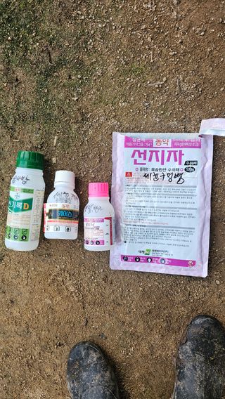 kkk님의 기타작물 · 영농일지 작성글 사진