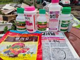 팜모닝 포도·영농일지 게시글 이미지