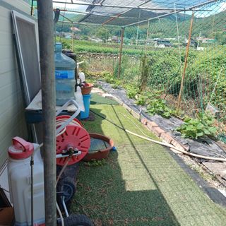 正覺님의 기타작물 · 영농일지 작성글 사진