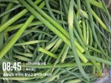 매실21434님의 작성글 사진