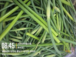 매실21434님의 기타작물 · 영농일지 작성글 사진