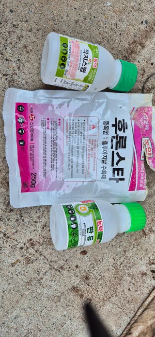 정진필님의 기타작물 · 영농일지 작성글 사진