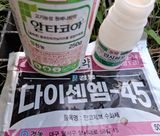 철남 김희곤님의 작성글 사진