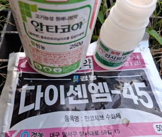 철남 김희곤님의 사과 · 영농일지 작성글 사진