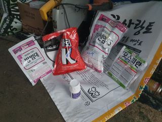 매실8693님의 감자 · 영농일지 작성글 사진