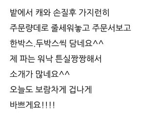 삼성농산님의 파 · 영농일지 작성글 사진