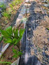 김동욱님의 작성글 사진