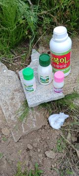 김 연님의 작성글 사진